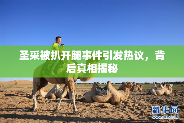 圣采被扒开腿事件引发热议，背后真相揭秘