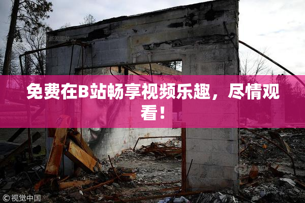 免费在B站畅享视频乐趣，尽情观看！