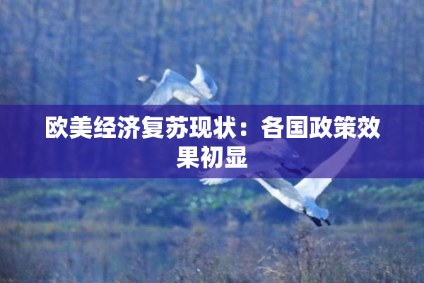 欧美经济复苏现状：各国政策效果初显