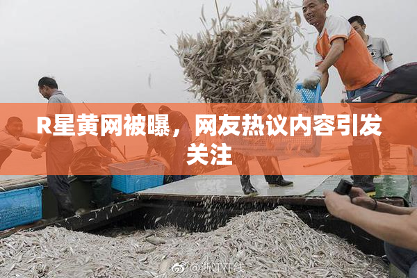 R星黄网被曝，网友热议内容引发关注