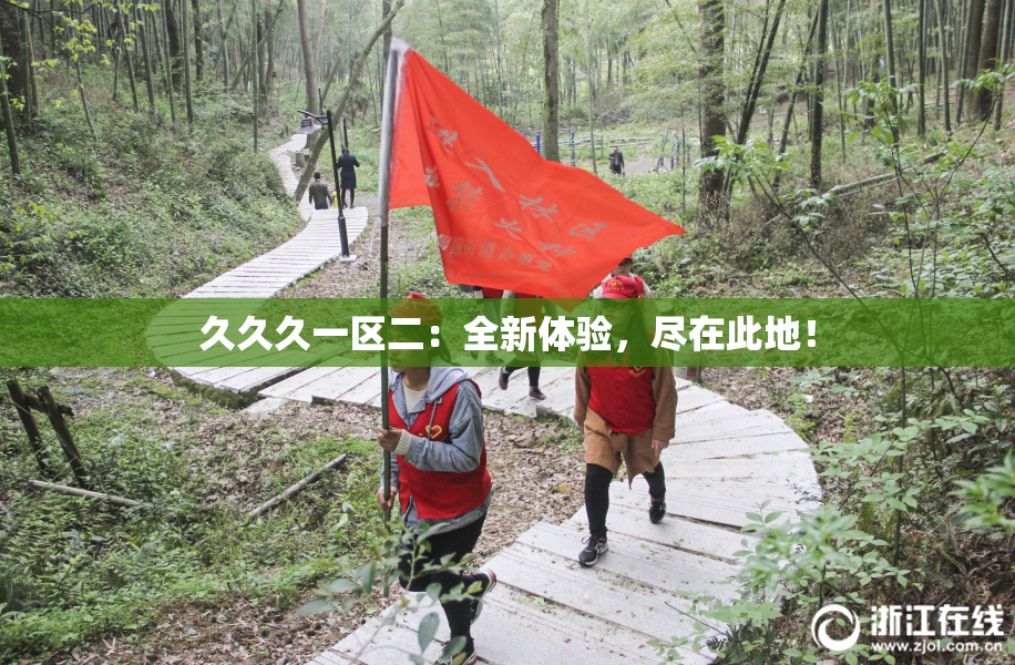 久久久一区二：全新体验，尽在此地！