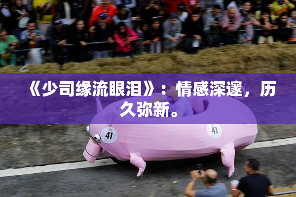 《少司缘流眼泪》：情感深邃，历久弥新。