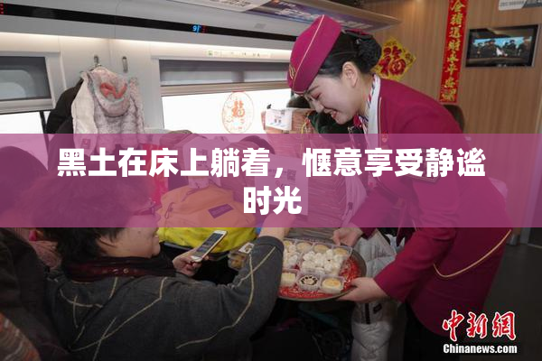 黑土在床上躺着，惬意享受静谧时光