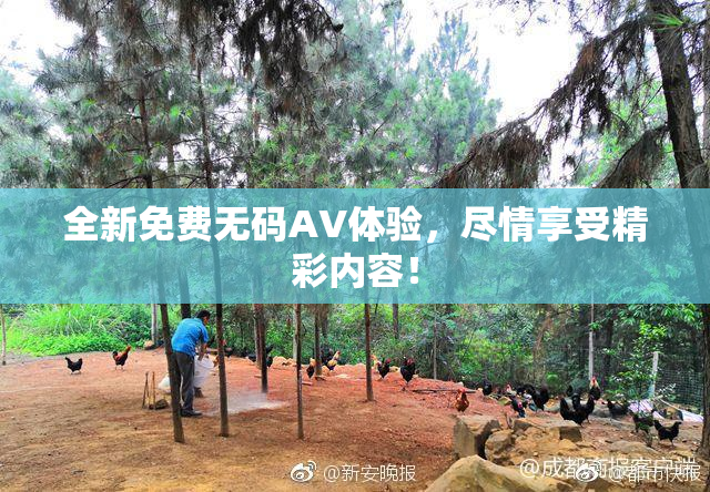 全新免费无码AV体验，尽情享受精彩内容！