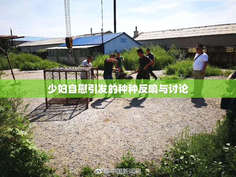 少妇自慰引发的种种反响与讨论