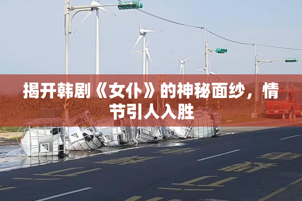 揭开韩剧《女仆》的神秘面纱，情节引人入胜