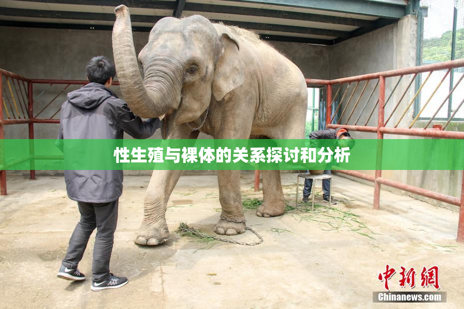 性生殖与裸体的关系探讨和分析