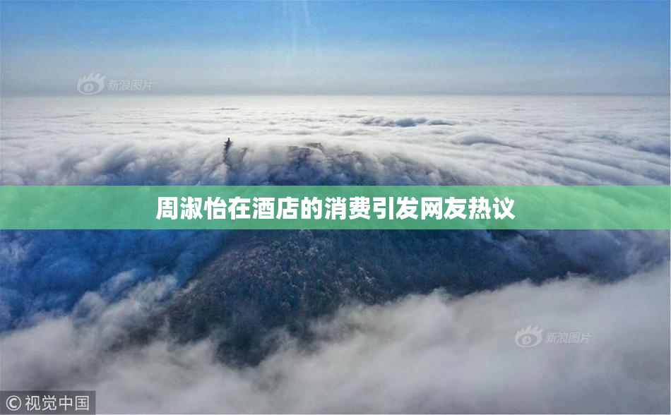 周淑怡在酒店的消费引发网友热议
