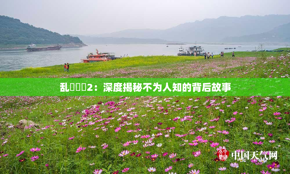 乱婬妺妺2：深度揭秘不为人知的背后故事