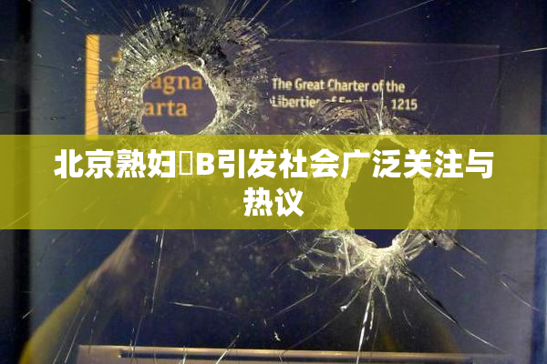 北京熟妇槡B引发社会广泛关注与热议