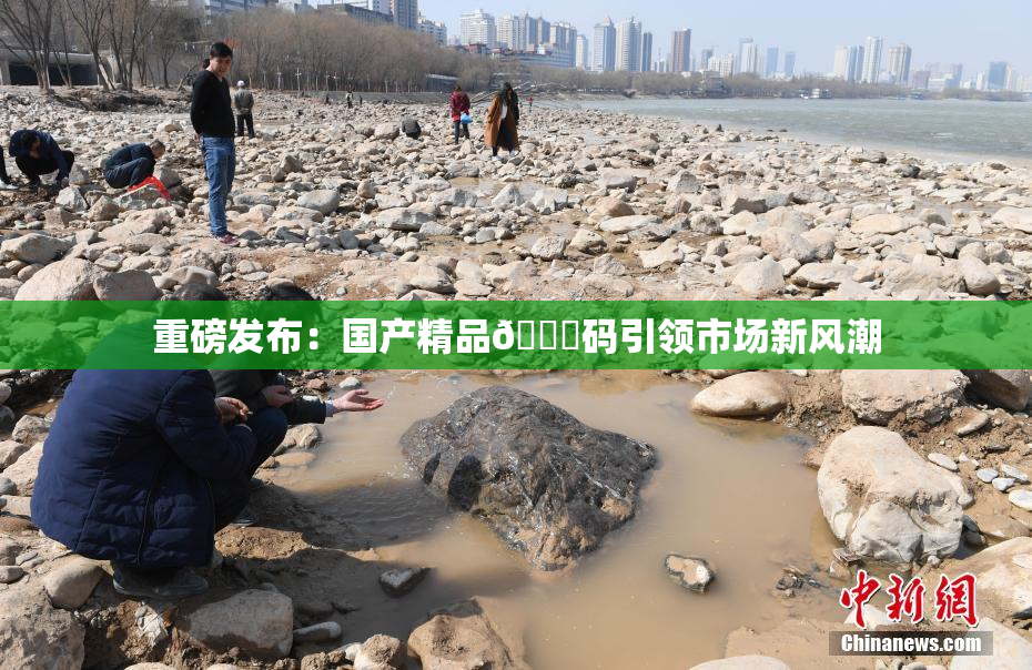 重磅发布：国产精品🈚码引领市场新风潮