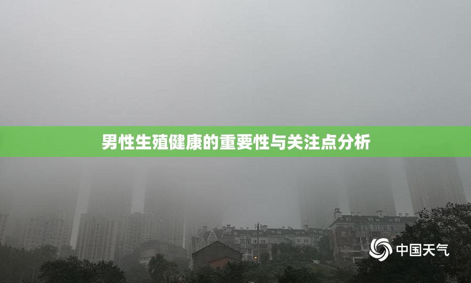 男性生殖健康的重要性与关注点分析