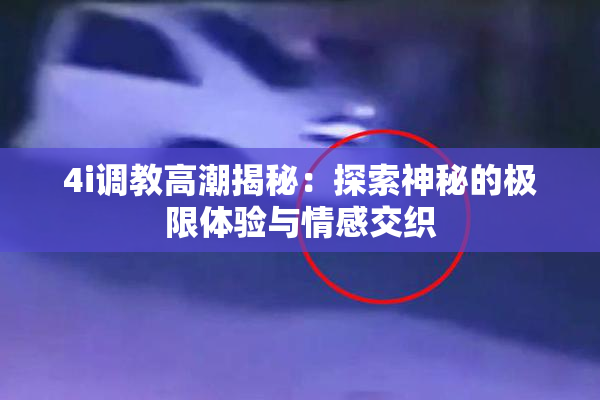 4i调教高潮揭秘：探索神秘的极限体验与情感交织