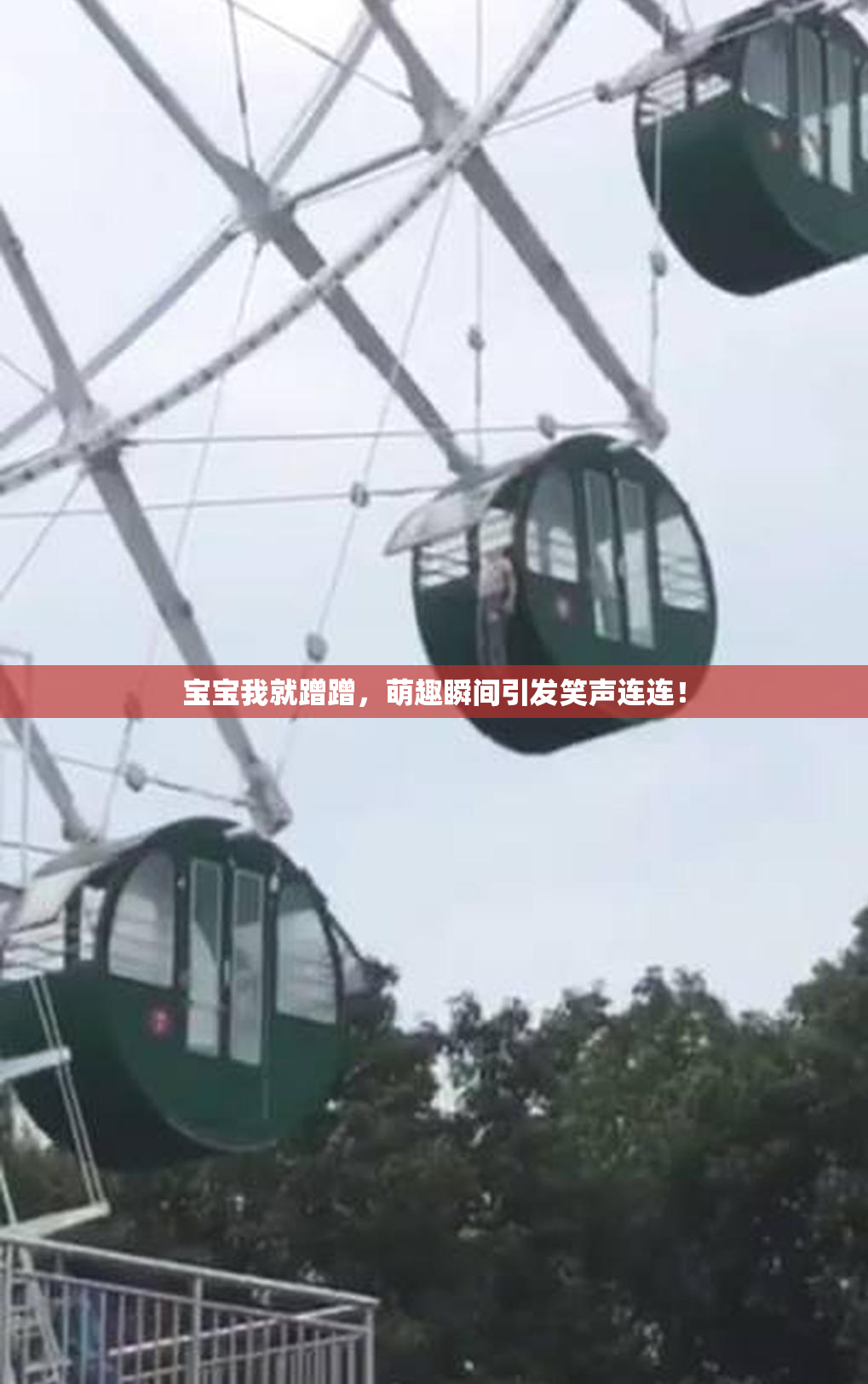 宝宝我就蹭蹭，萌趣瞬间引发笑声连连！