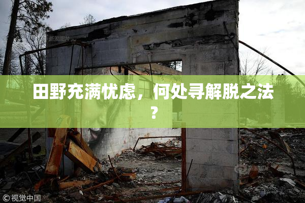 田野充满忧虑，何处寻解脱之法？