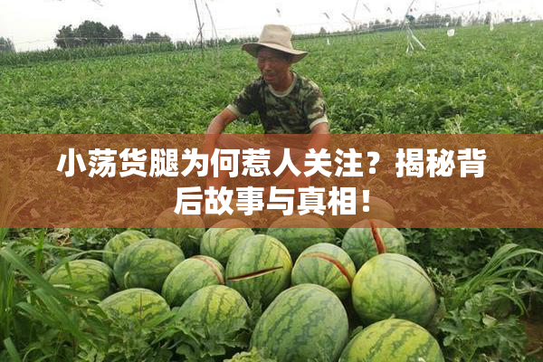 小荡货腿为何惹人关注？揭秘背后故事与真相！