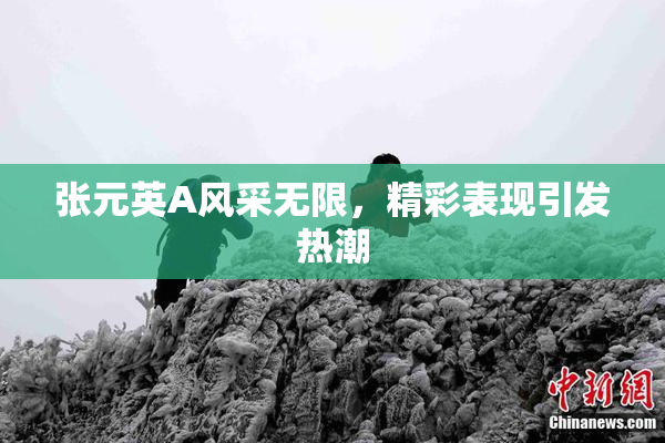 张元英A风采无限，精彩表现引发热潮