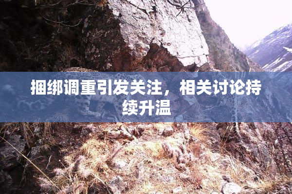 捆绑调重引发关注，相关讨论持续升温