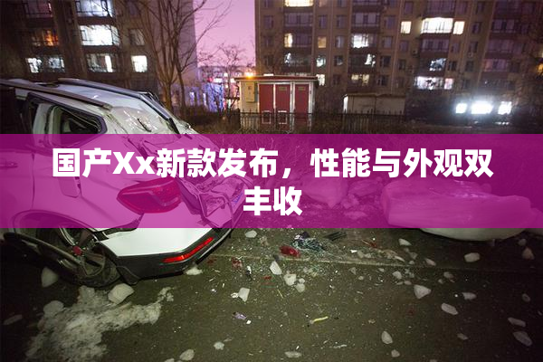 国产Xx新款发布，性能与外观双丰收