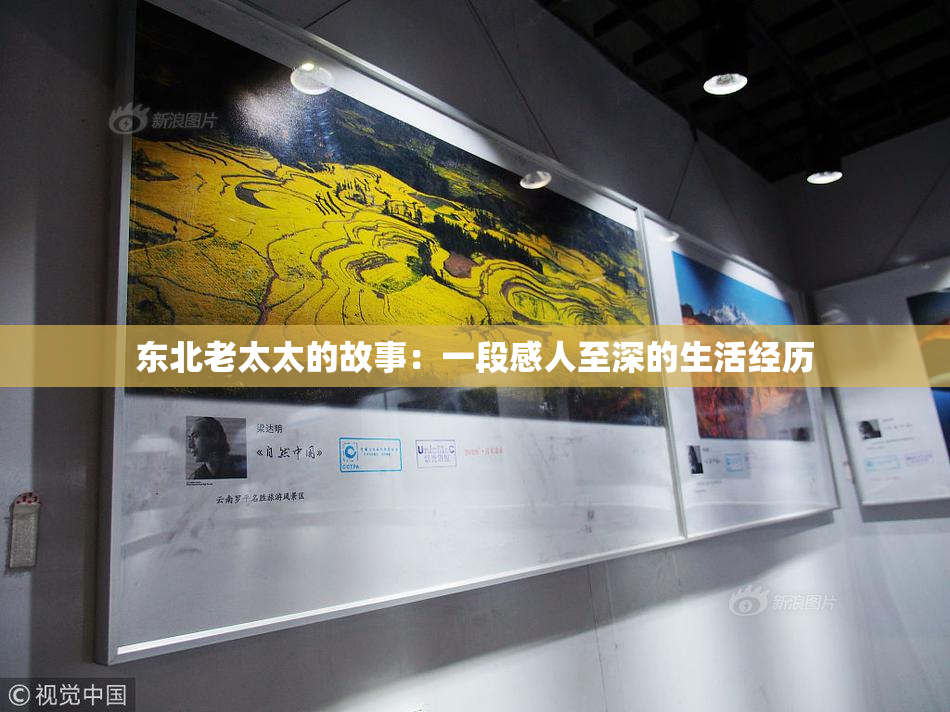 东北老太太的故事：一段感人至深的生活经历