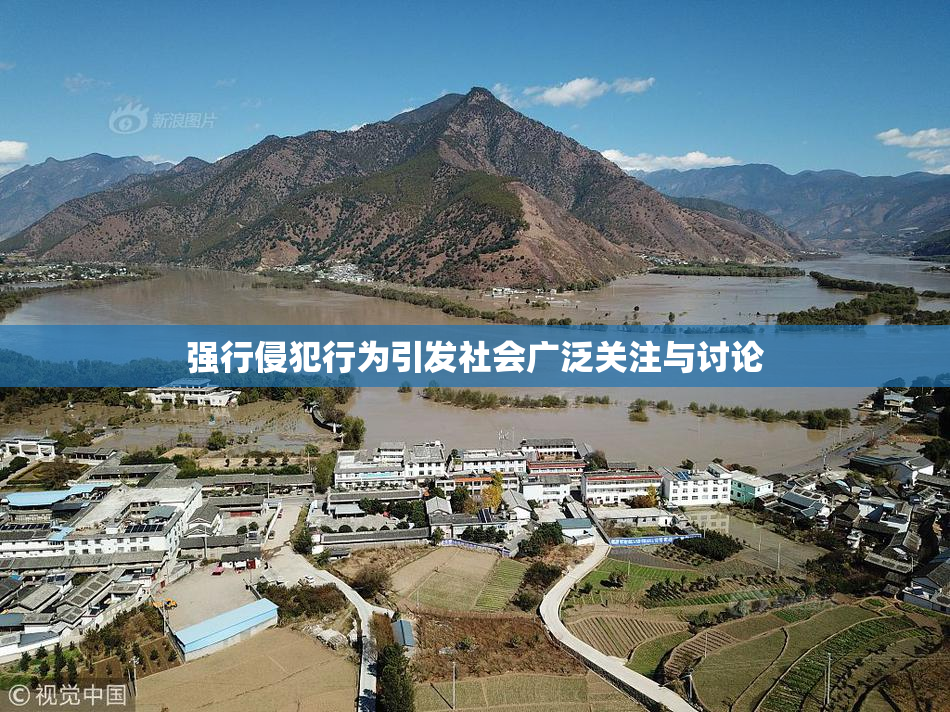 强行侵犯行为引发社会广泛关注与讨论