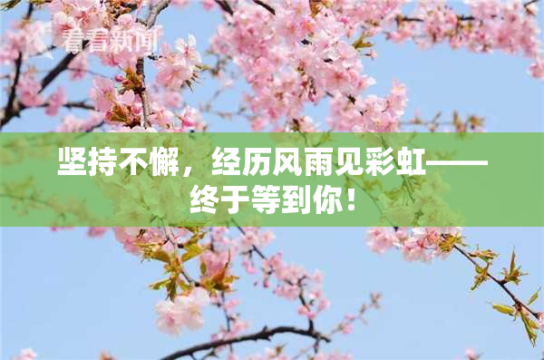 坚持不懈，经历风雨见彩虹——终于等到你！