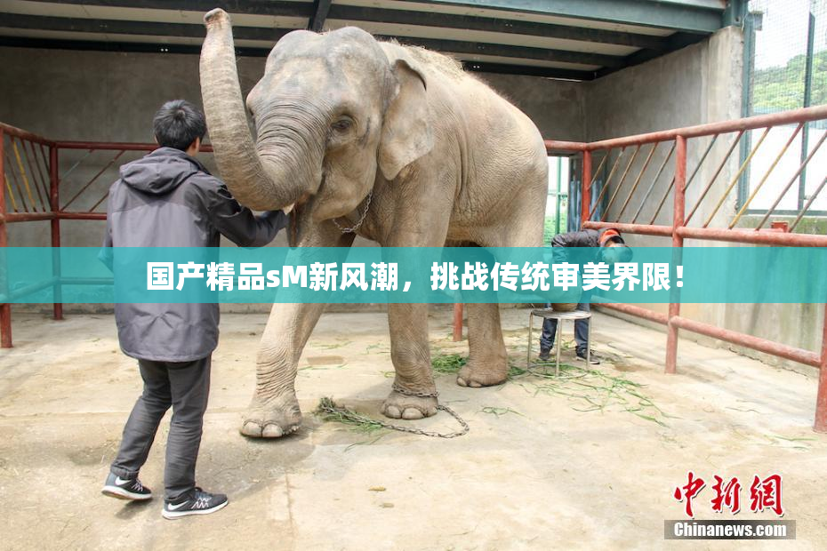 国产精品sM新风潮，挑战传统审美界限！