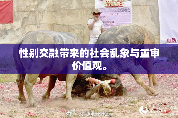 性别交融带来的社会乱象与重审价值观。