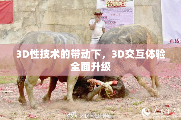 3D性技术的带动下，3D交互体验全面升级