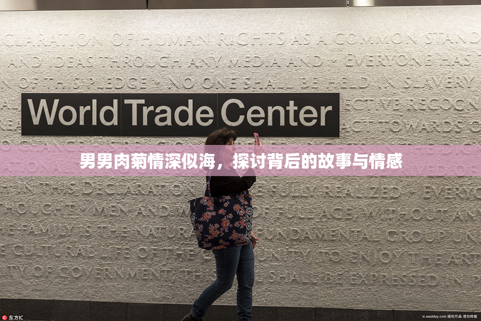 男男肉菊情深似海，探讨背后的故事与情感