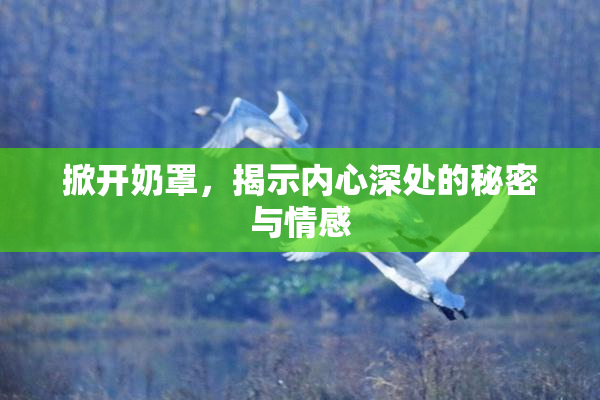 掀开奶罩，揭示内心深处的秘密与情感