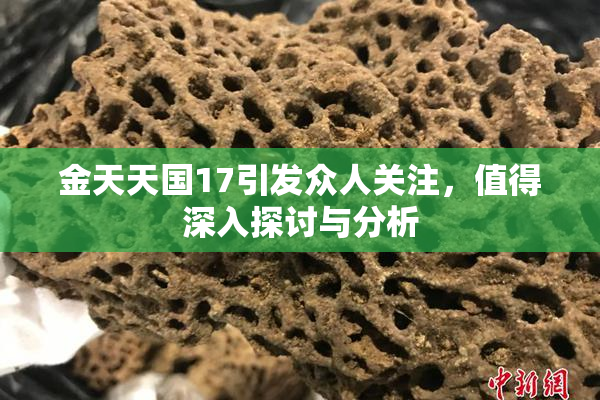 金天天国17引发众人关注，值得深入探讨与分析