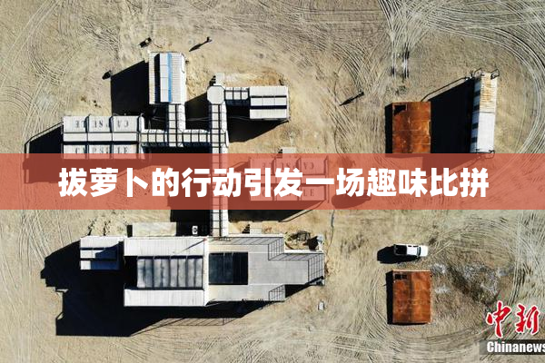 拔萝卜的行动引发一场趣味比拼