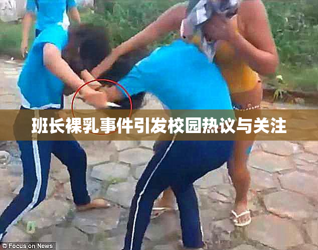 班长裸乳事件引发校园热议与关注