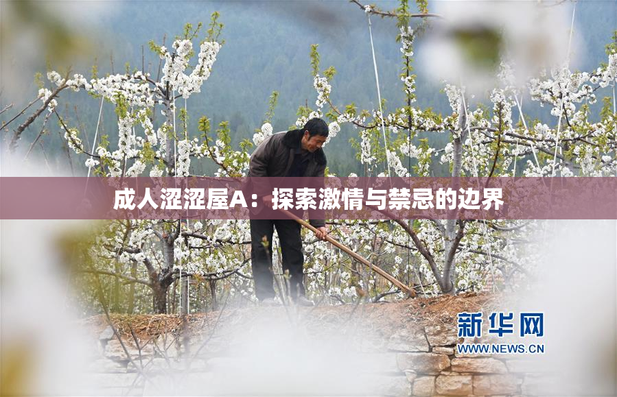成人涩涩屋A：探索激情与禁忌的边界
