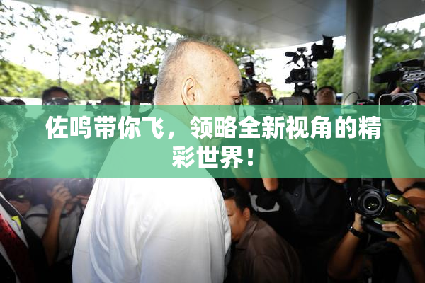 佐鸣带你飞，领略全新视角的精彩世界！