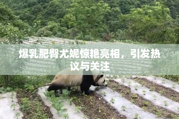 爆乳肥臀尤妮惊艳亮相，引发热议与关注