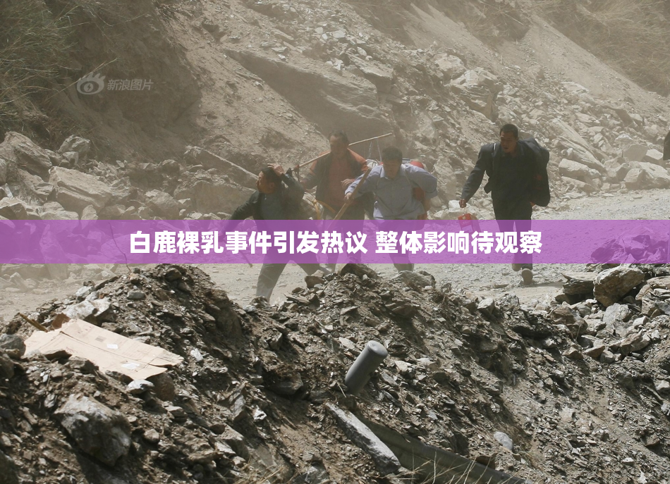 白鹿裸乳事件引发热议 整体影响待观察