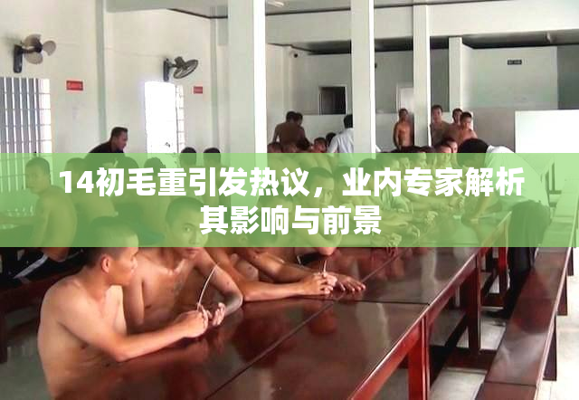 14初毛重引发热议，业内专家解析其影响与前景