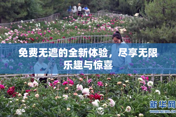 免费无遮的全新体验，尽享无限乐趣与惊喜