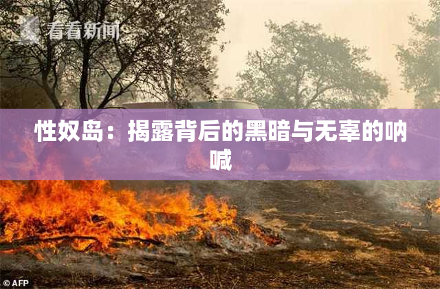 性奴岛：揭露背后的黑暗与无辜的呐喊