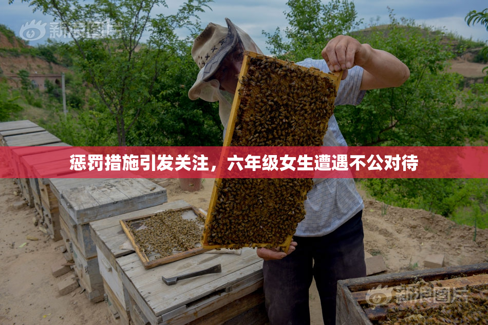 惩罚措施引发关注，六年级女生遭遇不公对待