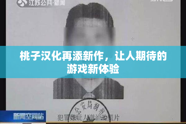 桃子汉化再添新作，让人期待的游戏新体验