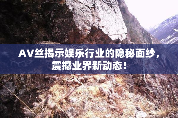 AV丝揭示娱乐行业的隐秘面纱，震撼业界新动态！