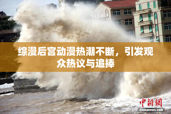 综漫后宫动漫热潮不断，引发观众热议与追捧
