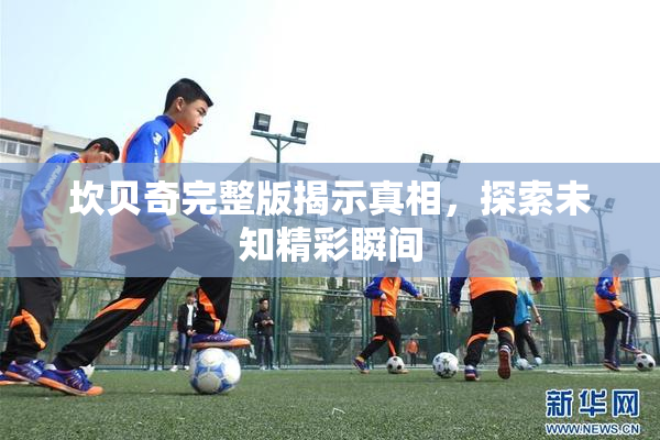 坎贝奇完整版揭示真相，探索未知精彩瞬间