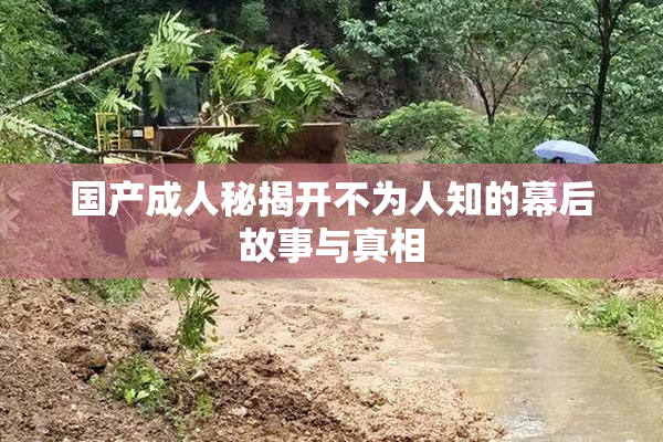 国产成人秘揭开不为人知的幕后故事与真相