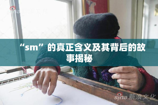 “sm”的真正含义及其背后的故事揭秘