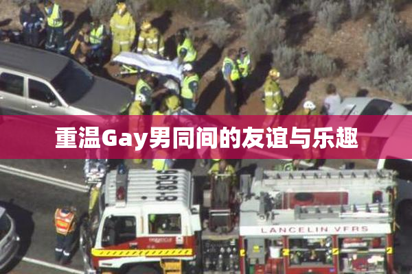 重温Gay男同间的友谊与乐趣