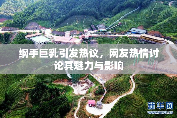 纲手巨乳引发热议，网友热情讨论其魅力与影响